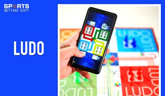 Ludo Pro