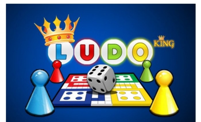 Ludo Pro