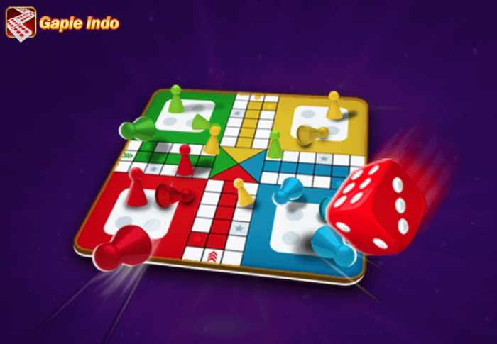 Ludo Pro