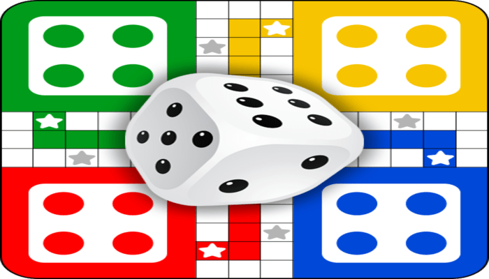 Ludo Pro